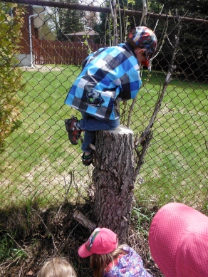 boy climbing stump